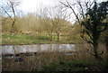 River Wey near Snails Lynch Farm