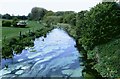 River Ver above St Albans after flow recovery