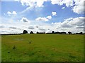 View of Cooper House farm