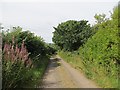 Farm road, Eckford