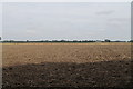 Fields near Poplars Farm