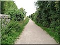 Footpath on the east side of the Priory Wall