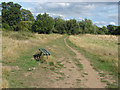 Bench, Shepherd Meadows Nature Park