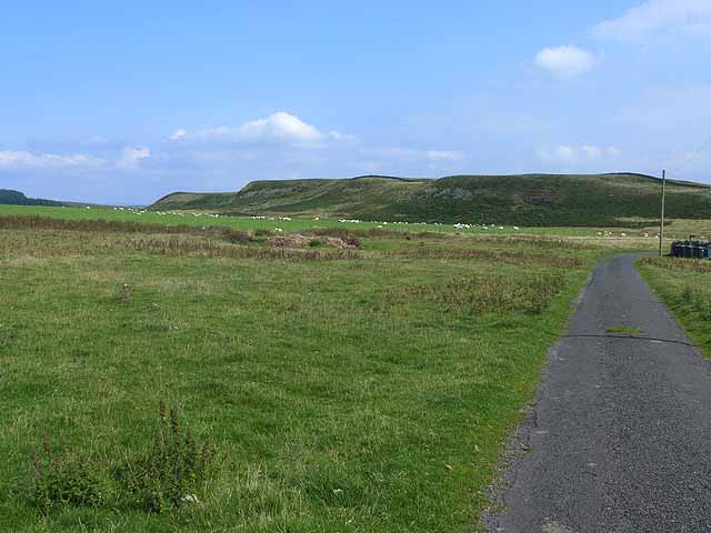 The road past North Heugh Farm