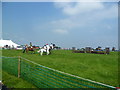 Cattistock Country Fair