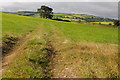 Farmland above the Vale of Clwyd