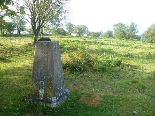 Trig Pillar, Lambert's Castle Hill