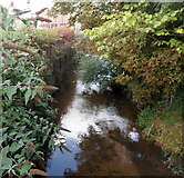 SO8376 : Stream in Kidderminster by Jaggery