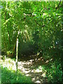 Footpath to Furnace Wood