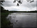 H6303 : Tullyloocan Lough east of Canningstown by Eric Jones