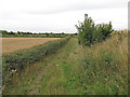 Bridleway to Clay Lane, Little Dunmow