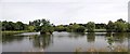 Lake Meadows Panorama