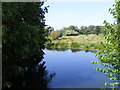 TM3389 : River Waveney at Ditchingham Dam by Geographer