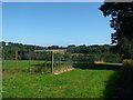 Footpath to Wadhurst