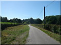 Buckhurst Lane near Buckhurst Farm