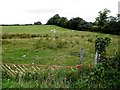 Collow Townland