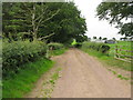 Track to Langside farm