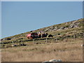 Silage Baling