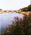 NY3956 : River Eden, Carlisle by David Leeming