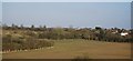 Farmland near Haversham