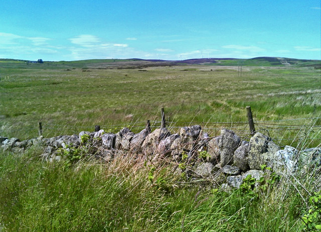 Drystone wall at the edge of an immense grassy field