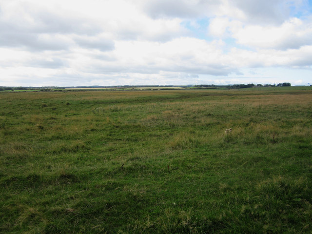 Grassland at Newton Links