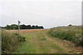 Path to Burwell, alongside Burwell Wood