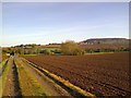 Track to Frogwell Cottage from the B4348