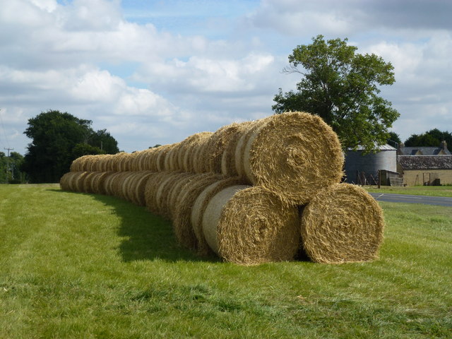 Rolls of straw near Hall Farm, Washingley