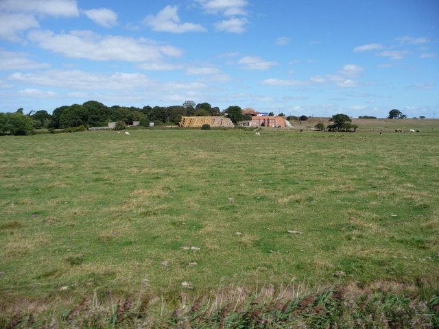 Pasture south of Hill Farm