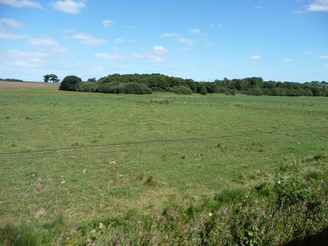 Western end of John's Carr