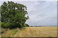 The Viking Way from Waddington heading towards Lincoln