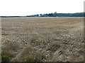 View across stubble towards Tindall Hall Cottages