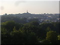 Muswell Hill from Shepherds Hill Field