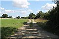 Farm track near the Great Drain