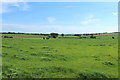 Farmland at Bogside