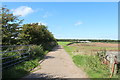 Road into Muirston