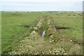 Drainage channel near Hobbister