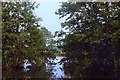 Yew Tree Lake, Waveney Valley Lakes