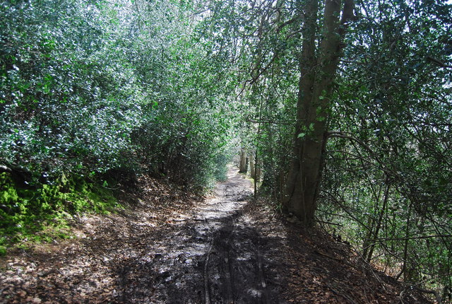 Greensand Way, Moor Park