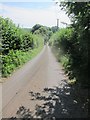 Lye Hole Lane looking downhill and South