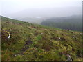 NN4662 : Deer track approaching an area of bracken below Coire a' Ghiubhais near Loch Ericht by ian shiell