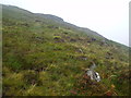 NN4662 : Ridge associated with Coire a' Ghiubhais near Loch Ericht by ian shiell