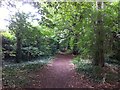 Public footpath to Northampton