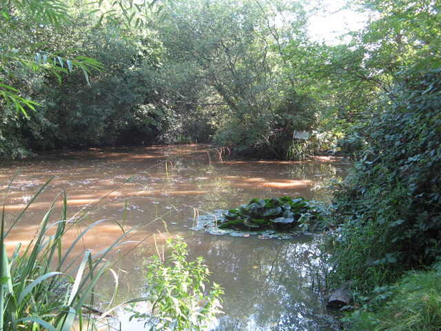 Pond at Batts Pond Lane
