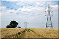 Power lines over the wheat