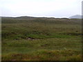 NN4763 : Allt Dubh Garbh near Loch Ericht by ian shiell
