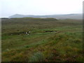 NN4763 : The course of Allt Dubh Garbh near Loch Ericht by ian shiell
