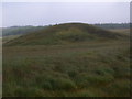 NN4763 : Morraine knoll west of Loch Ericht by ian shiell