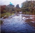 River Mole below Royal Mills weir at Esher